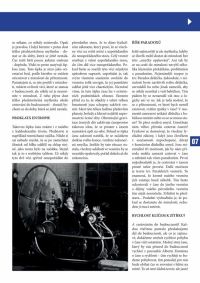 projekt_dtp_lejsek4-page-006[1].jpg